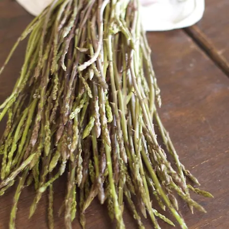 Farm stay E San Crispino