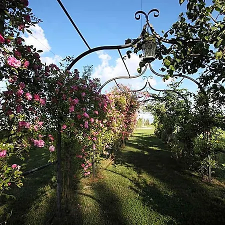Farm stay E San Crispino Assisi