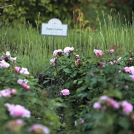 Farm stay E San Crispino *