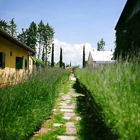 E San Crispino Assisi