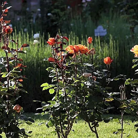 E San Crispino Farm stay *