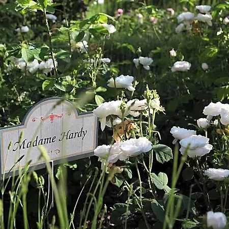 Farm stay E San Crispino Assisi