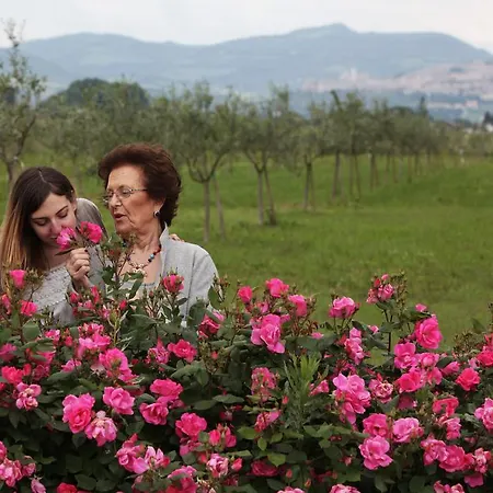 E San Crispino Assisi