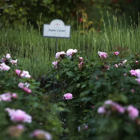 Farm stay E San Crispino *