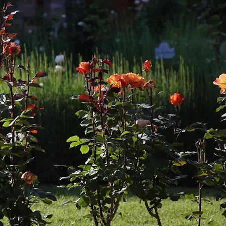 Farm stay E San Crispino *