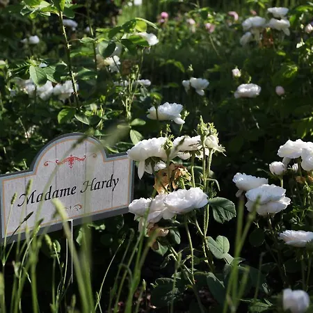 Farm stay E San Crispino Assisi