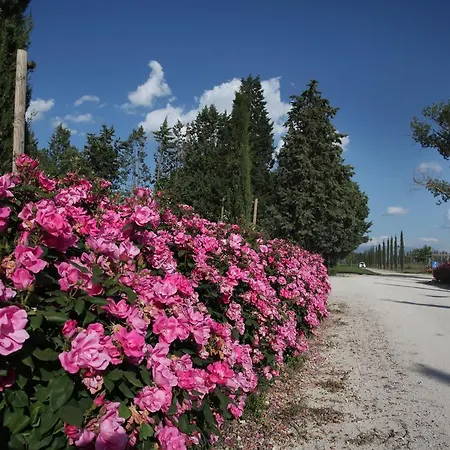 E San Crispino Assisi