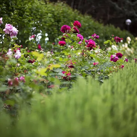 Farm stay E San Crispino *