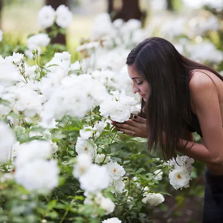Farm stay E San Crispino