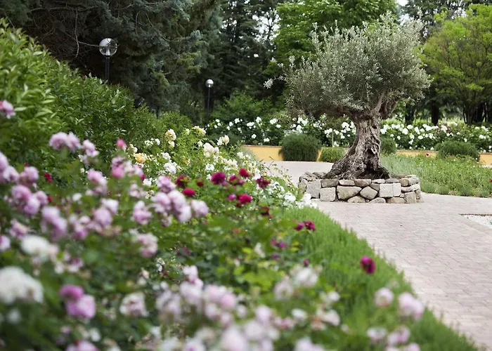 Farm stay E San Crispino *