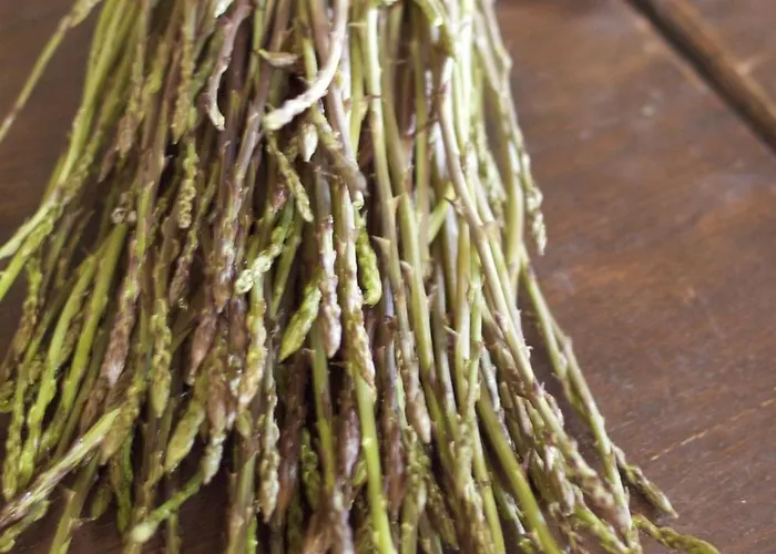 Farm stay E San Crispino