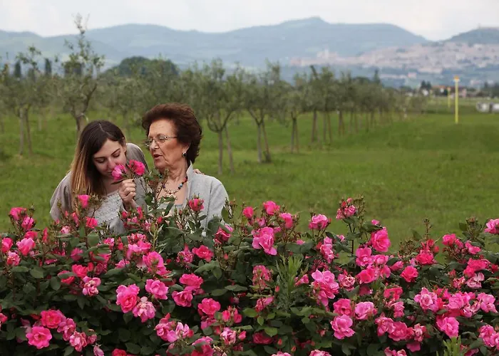 E San Crispino Assisi