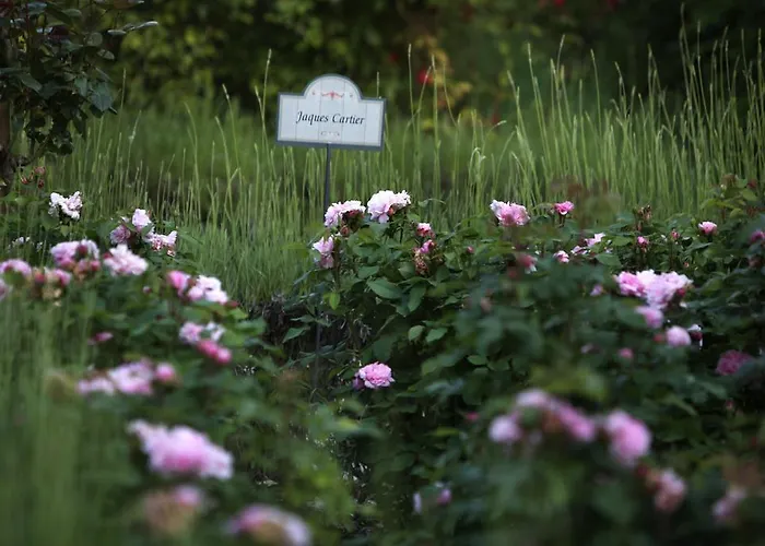 Farm stay E San Crispino *