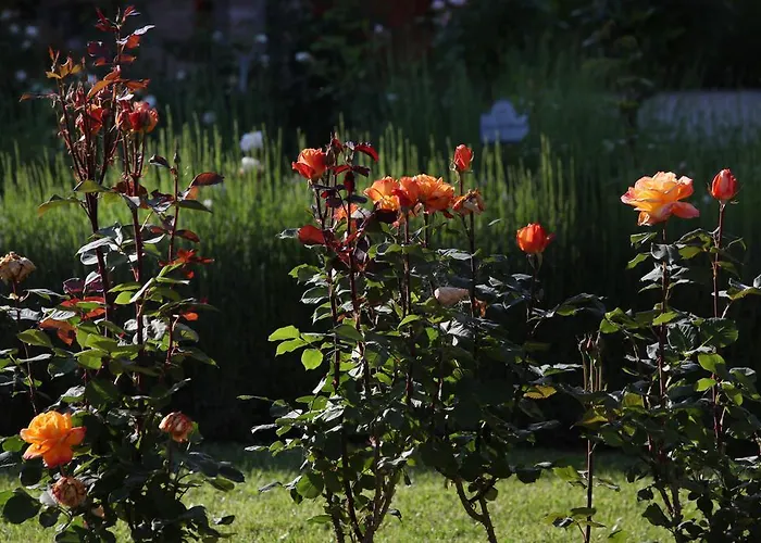 Farm stay E San Crispino *