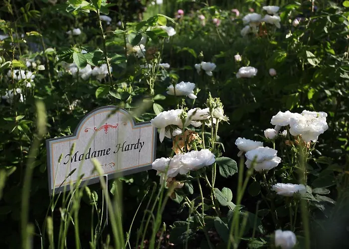 Farm stay E San Crispino Assisi