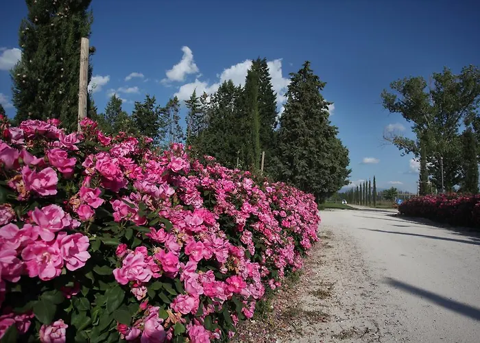 E San Crispino Assisi