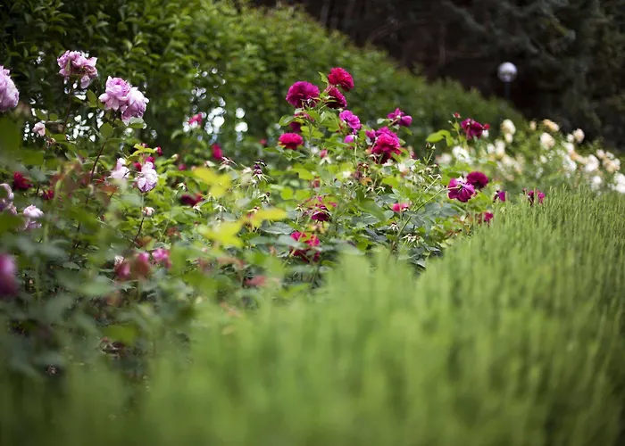 Farm stay E San Crispino *